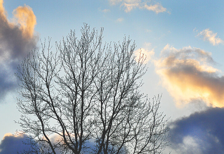 Nearly spring